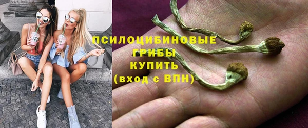 spice Алексин