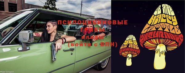 spice Алексин